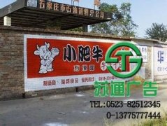 墻體廣告大型公司也非常的信賴(lài)