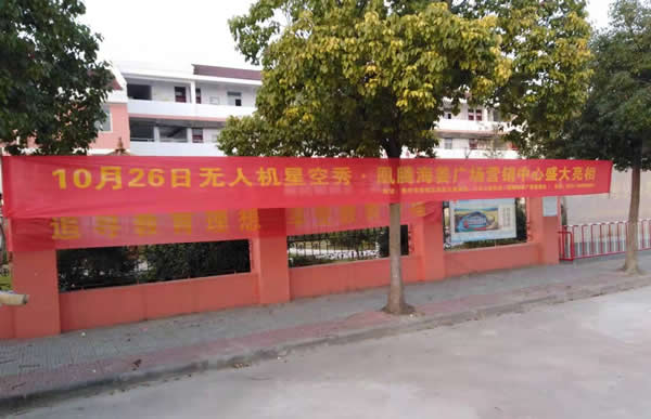 凰騰·海姜廣場鄉村（鎮）條幅制作安裝