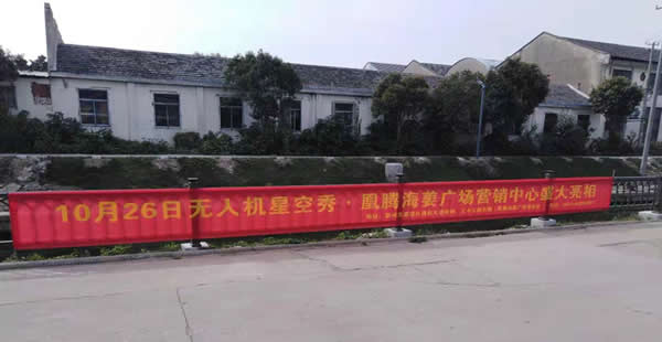 凰騰·海姜廣場鄉村（鎮）條幅制作安裝
