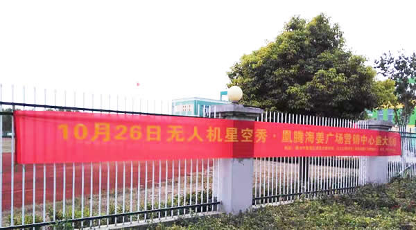 凰騰·海姜廣場鄉村（鎮）條幅制作安裝